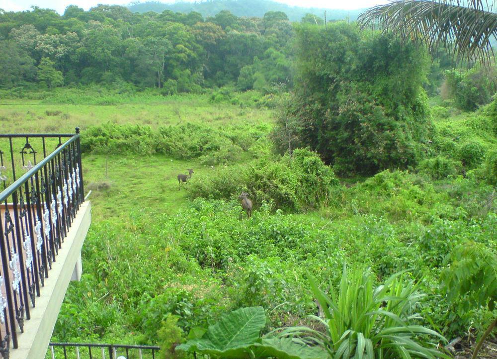 Jungle Palace Homestay Теккади Экстерьер фото